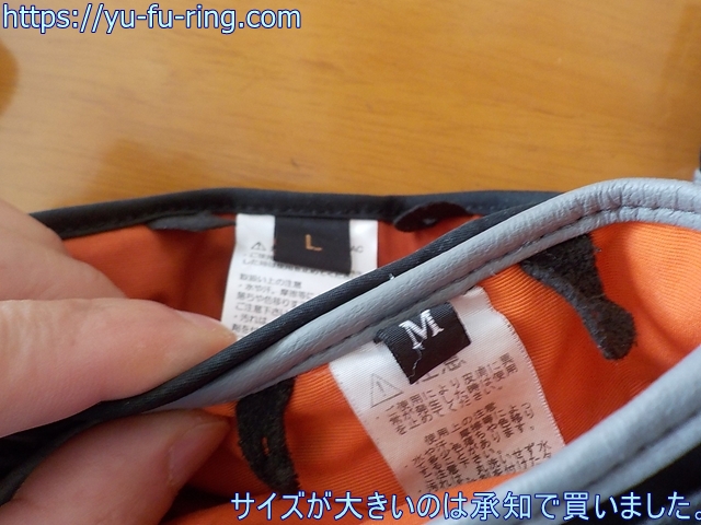 サイズが大きいのは承知で買いました。