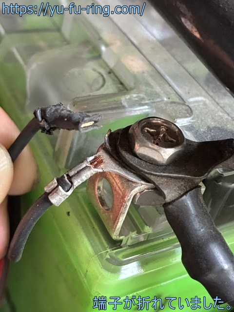 端子が折れていました。